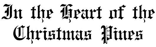 In the Heart of the Christmas Pines