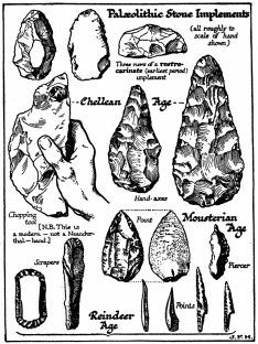 Early Stone Implements.

The Mousterian Age implements, and all above it, are those of
Neanderthal men or, possibly in the case of the rostro-carinates,
of sub-men. The lower row (Reindeer Age) are the work of true men.
The student should compare this diagram with the time diagram
attached to Chapter VII, § 6, and he should note the relatively
large size of the pre-human implements.
