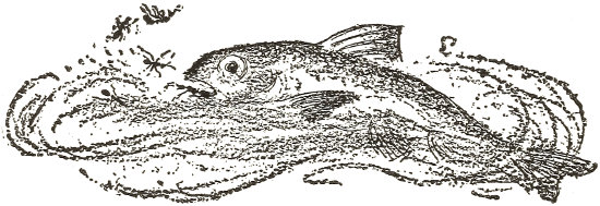 The wind ... blew
  whole rows of the Ants into the water, where
  the Fish gobbled them up.