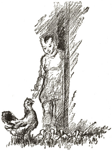 the Hen, surrounded
  by her brood of Chicks