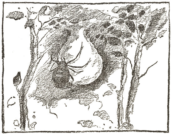 the bag has
taken its balloon shape, tapering towards the neck