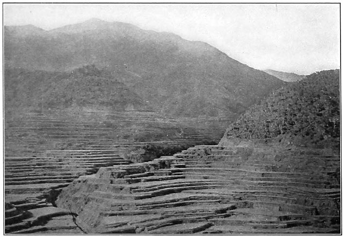 2. Mount Kalau&iacute;tan, the second of the two sacred mountains of the Ifugaos; elevation 7,000 feet (2,134 meters). (Photograph by Miller.)