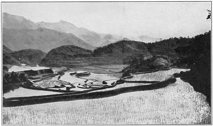 2. View from Ifugao toward the mythical region of the East. In the foreground are the Ifugao rice terraces&mdash;the most distinguishing feature of their culture. (Photograph by Beyer.)