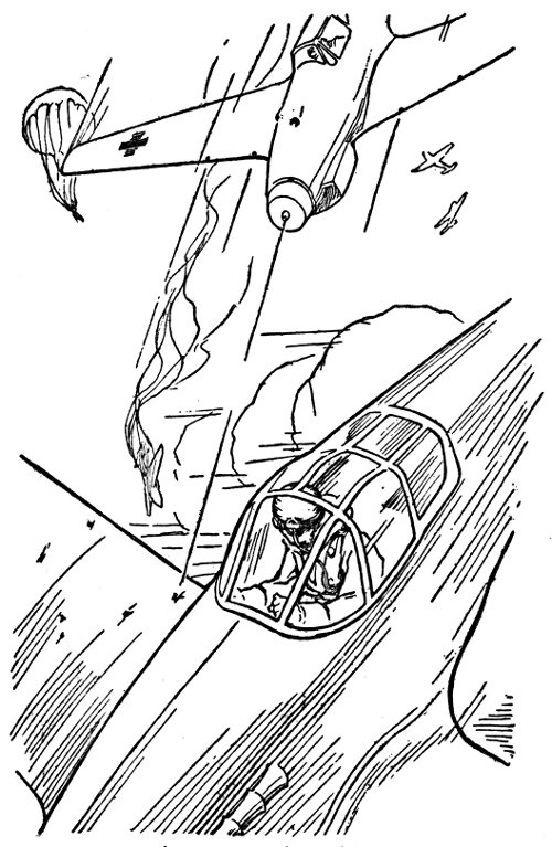 &ldquo;Shots tore into his right wing&rdquo;