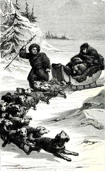 Treize chiens tirant le tra�neau.