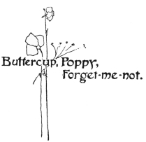 Image unavailable: Buttercup, Poppy,
Forget-me-not.