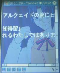 �^�[�~�i���T�[�r�X�N���C�A���g���