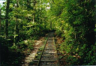 ���v���ʐ^